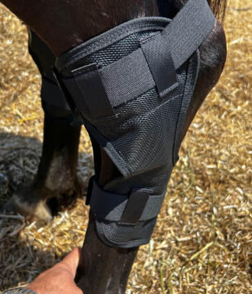 סט שלם של סוסי פרימיום RS: מגפי פעמון, גרביים וסדין זבוב